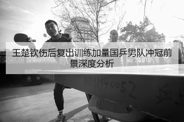 王楚钦伤后复出训练加量国乒男队冲冠前景深度分析